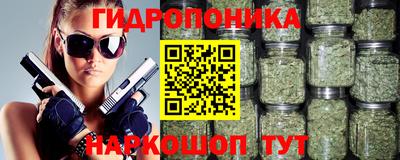 шишки Обь