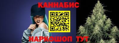 шишки Обь