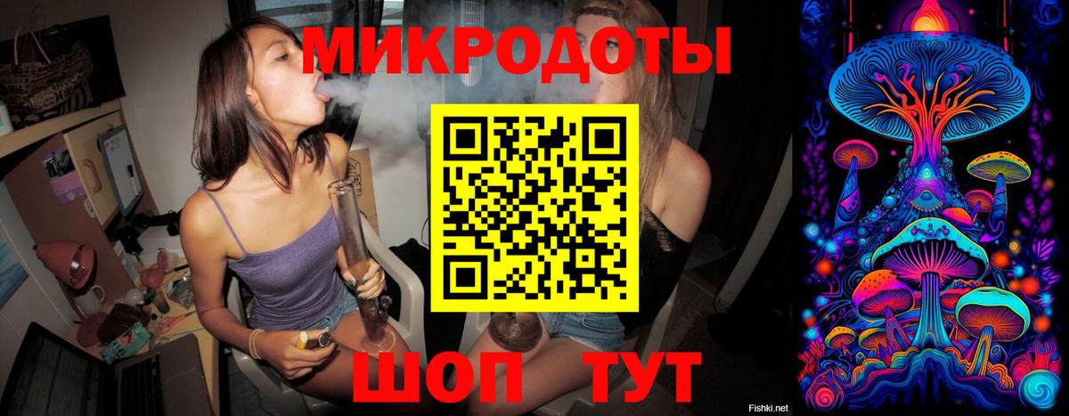 Галлюциногенные грибы Psilocybe Семёнов